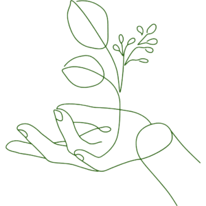 Plantje groeit uit hand